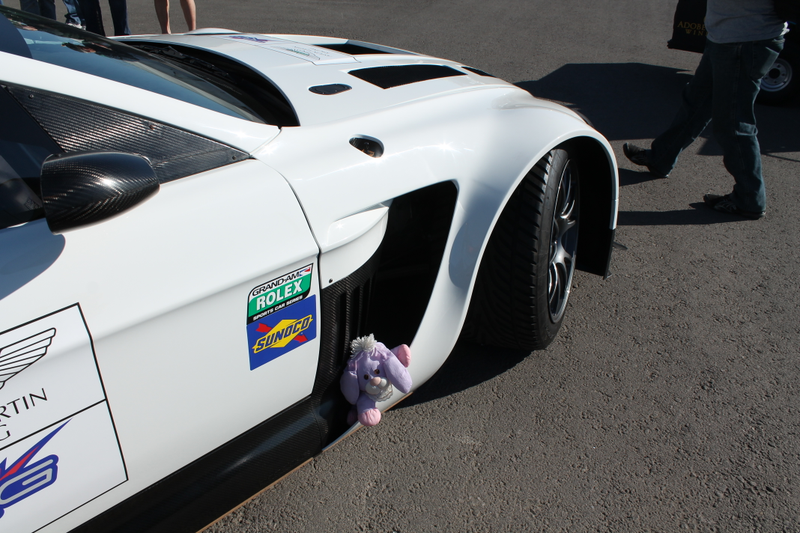 Illustration for article titled How A Stuffed Bunny Taught Me How To Photograph Cars